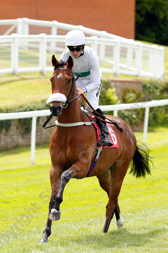 Firelight-0001 
 FIRELIGHT (Jim Crowley)
Sandown 15 Jun 2018 - Pic Steven Cargill / Racingfotos.com