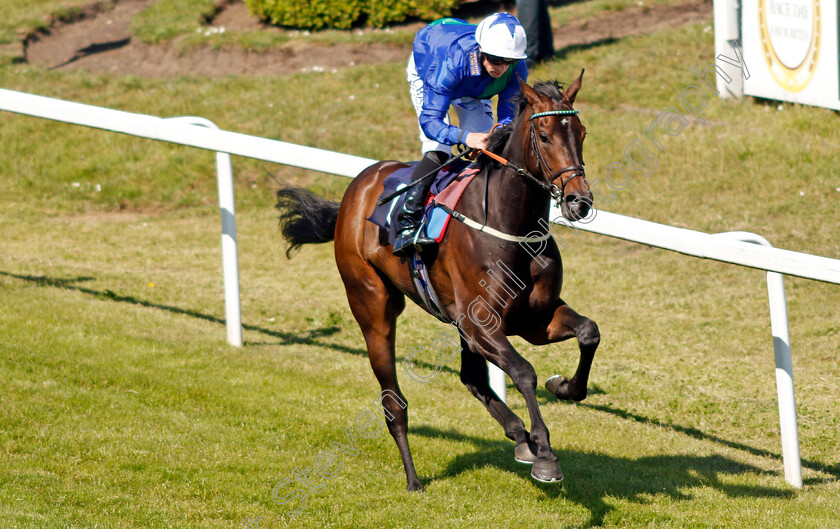 Mustazeed-0005 
 MUSTAZEED (Jack Mitchell) wins The Mansionbet Watch And Bet Handicap
Yarmouth 9 Jun 2021 - Pic Steven Cargill / Racingfotos.com