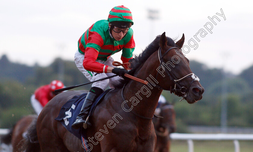 Aljari-0008 
 ALJARI (Luke Morris) wins The Wolverhampton Holiday Inn Novice Stakes
Wolverhampton 17 Jul 2019 - Pic Steven Cargill / Racingfotos.com