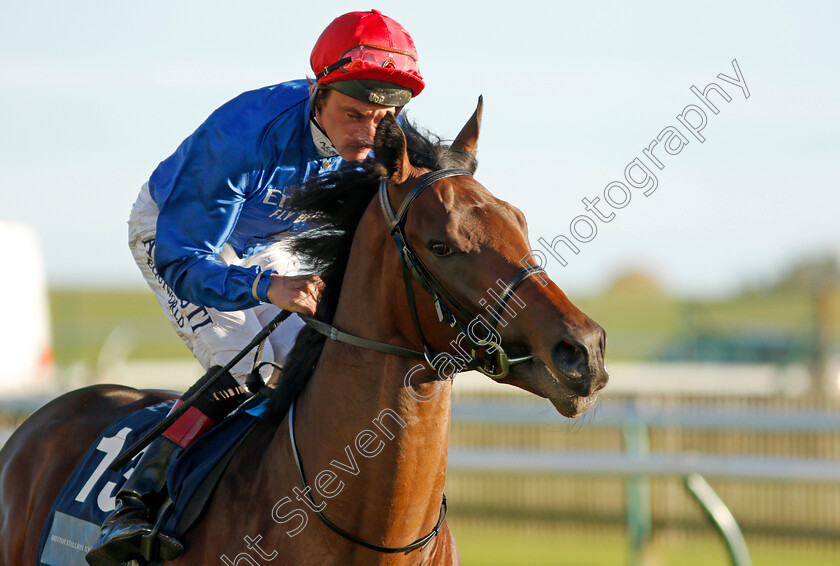 Walk-Of-Stars-0001 
 WALK OF STARS (Adam Kirby)
Newmarket 20 Oct 2021 - Pic Steven Cargill / Racingfotos.com