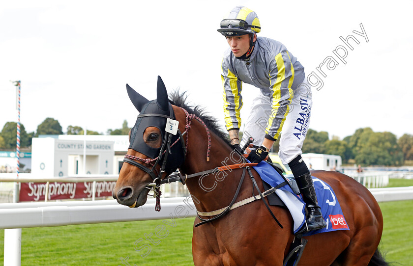 Mondammej 
 MONDAMMEJ (Cam Hardie)
York 17 Aug 2022 - Pic Steven Cargill / Racingfotos.com