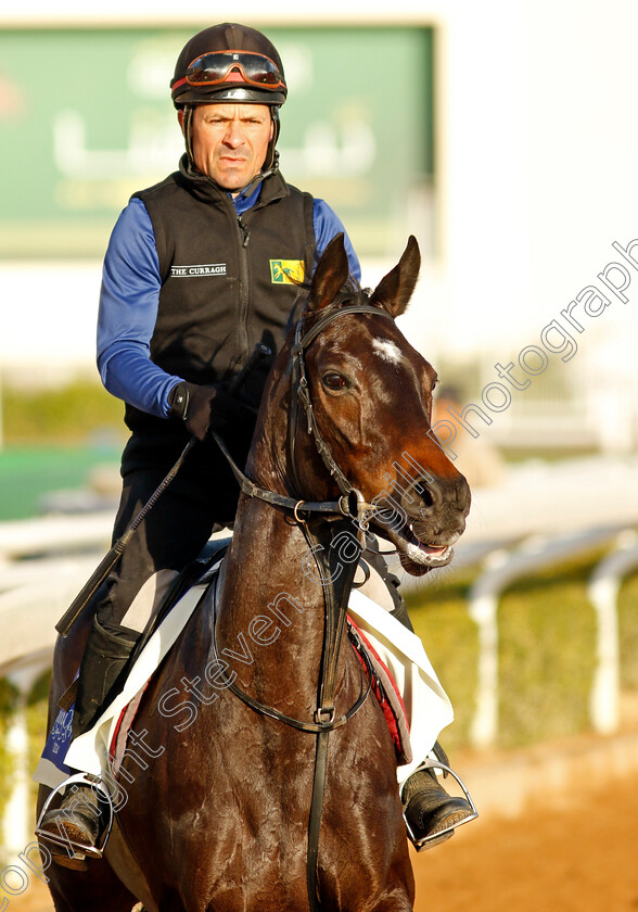 Matilda-Picotte-0002 
 MATILDA PICOTTE training for The 1351 Turf Sprint
King Abdulaziz Racecourse, Saudi Arabia 21 Feb 2024 - Pic Steven Cargill / Racingfotos.com