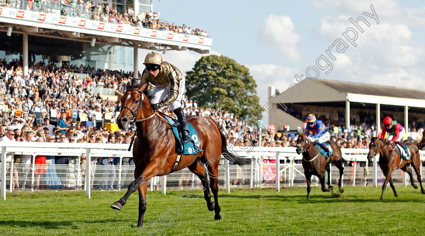 Phantom-Flight-0002 
 PHANTOM FLIGHT (P J McDonald) wins The Sky Bet Finale Handicap
York 20 Aug 2022 - Pic Steven Cargill / Racingfotos.com