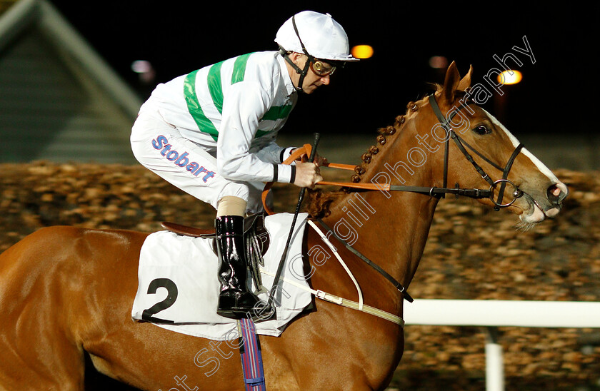 Dame-Freya-Stark-0001 
 DAME FREYA STARK (Joe Fanning)
Kempton 23 Mar 2019 - Pic Steven Cargill / Racingfotos.com