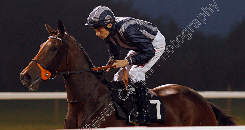 Send-Up-0002 
 SEND UP (Luke Morris) winner of The Bet totequadpot At betfred.com Handicap Chelmsford 26 Sep 2017 - Pic Steven Cargill / Racingfotos.com