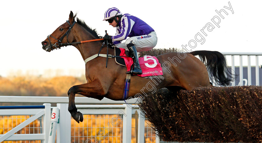 Quite-By-Chance-0001 
 QUITE BY CHANCE (Tom O'Brien) Ascot 25 Nov 2017 - Pic Steven Cargill / Racingfotos.com