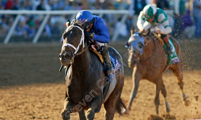 Immersive-0007 
 IMMERSIVE (Manuel Franco) Breeders' Cup Juvenile Fillies
Del Mar USA 1 Nov 2024 - Pic Steven Cargill / Racingfotos.com