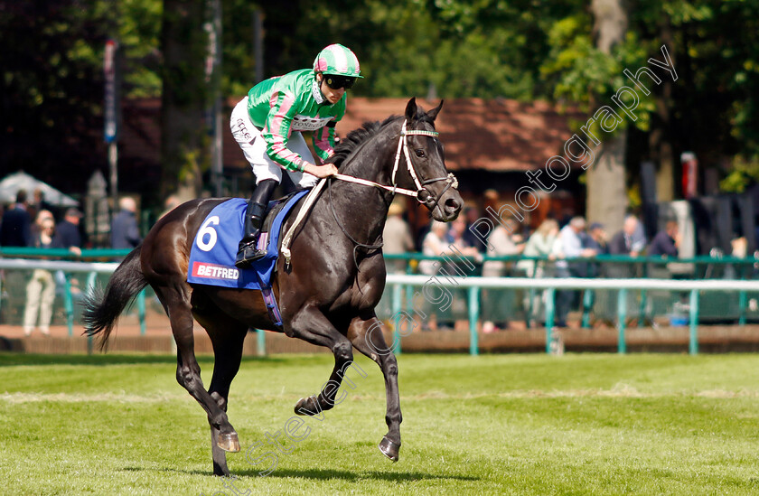 Pogo-0002 
 POGO (Kieran Shoemark) winner of The Betfred John Of Gaunt Stakes
Haydock 28 May 2022 - Pic Steven Cargill / Racingfotos.com