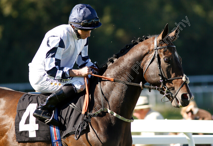 Lamloom-0001 
 LAMLOOM (Ryan Moore)
Goodwood 26 Sep 2018 - Pic Steven Cargill / Racingfotos.com