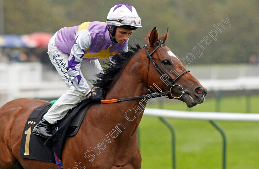 Going-The-Distance-0004 
 GOING THE DISTANCE (Rossa Ryan) winner of The British EBF Future Stayers Oath Novice Stakes
Nottingham 11 Oct 2023 - Pic Steven Cargill / Racingfotos.com