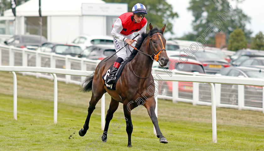 Positive-0001 
 POSITIVE (Adam Kirby) winner of The Betway Solario Stakes
Sandown 31 Aug 2019 - Pic Steven Cargill / Racingfotos.com