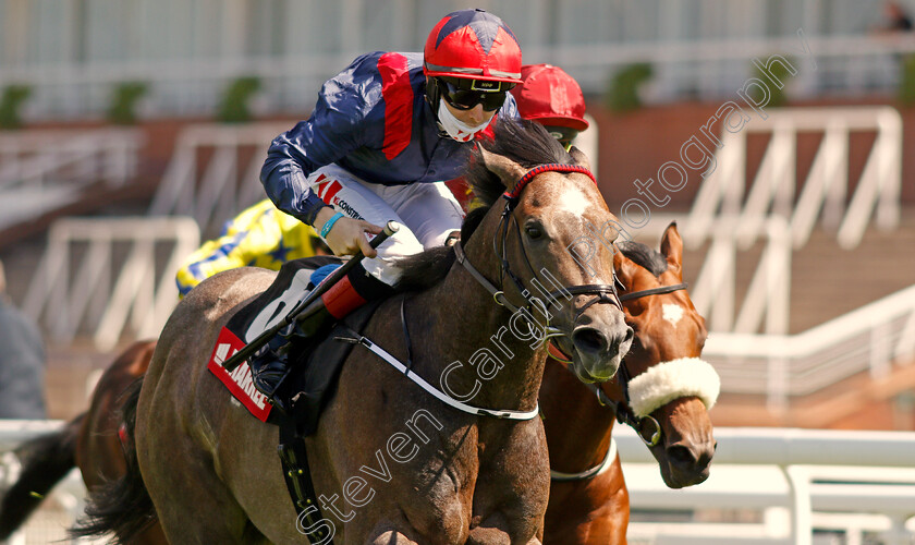 Steel-Bull-0006 
 STEEL BULL (Colin Keane) wins The Markel Insurance Molecomb Stakes
Goodwood 29 Jul 2020 - Pic Steven Cargill / Racingfotos.com