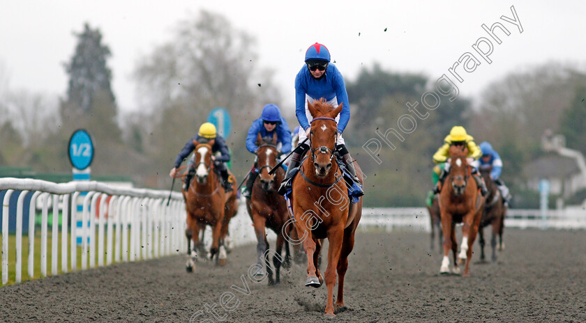 Kestenna-0003 
 KESTENNA (Robert Havlin) wins The Unibet Casino Deposit £10 Get £40 Bonus Fillies Novice Stakes
Kempton 16 Feb 2021 - Pic Steven Cargill / Racingfotos.com