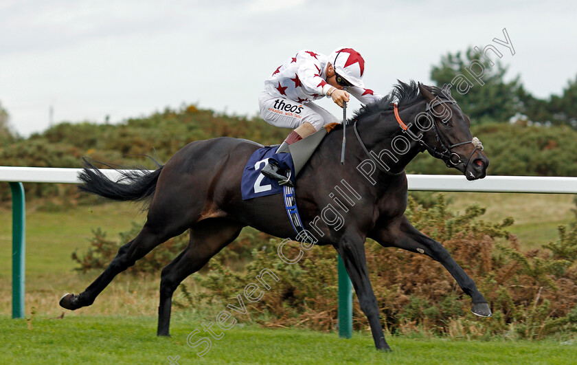 Hajaam-0005 
 HAJAAM (Stevie Donohoe) wins The Philip Southgate Socks & Sandals Handicap Yarmouth 24 Oct 2017 - Pic Steven Cargill / Racingfotos.com