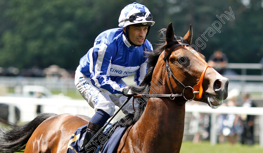 Sun-Power-0001 
 SUN POWER (Silvestre De Sousa)
Royal Ascot 22 Jun 2019 - Pic Steven Cargill / Racingfotos.com