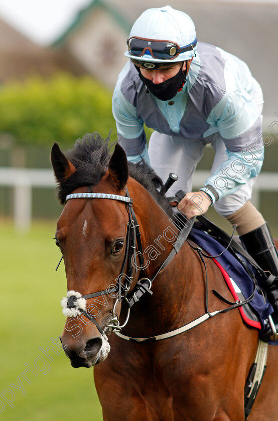 Josies-Kid-0001 
 JOSIES KID (Kieran O'Neill)
Yarmouth 14 Jul 2021 - Pic Steven Cargill / Racingfotos.com