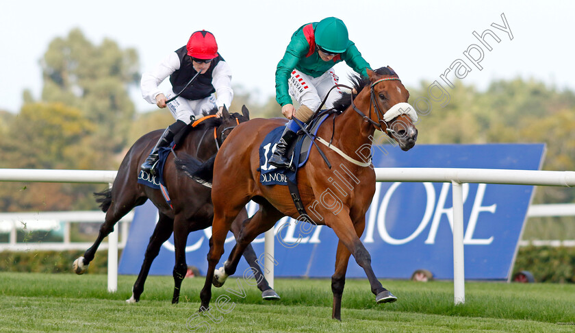 Tahiyra-0006 
 TAHIYRA (Chris Hayes) wins The Coolmore America Matron Stakes
Leopardstown 9 Sep 2023 - Pic Steven Cargill / Racingfotos.com