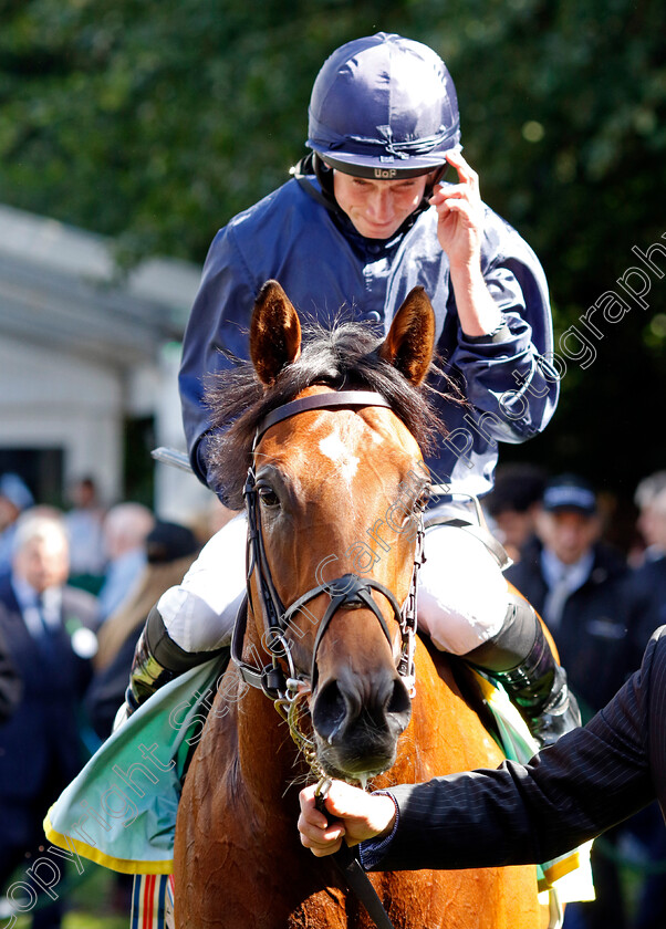 City-Of-Troy-0011 
 CITY OF TROY (Ryan Moore) winner of The bet365 Superlative Stakes
Newmarket 15 Jul 2023 - Pic Steven Cargill / Racingfotos.com