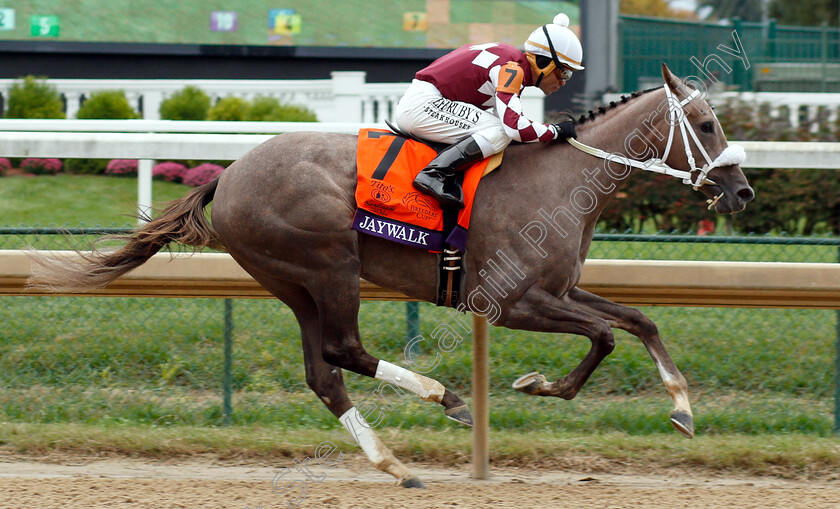 Jaywalk-0004 
 JAYWALK (Joel Rosario) wins The Breeders' Cup Juvenile Fillies
Churchill Downs 2 Nov 2018 - Pic Steven Cargill / Racingfotos.com