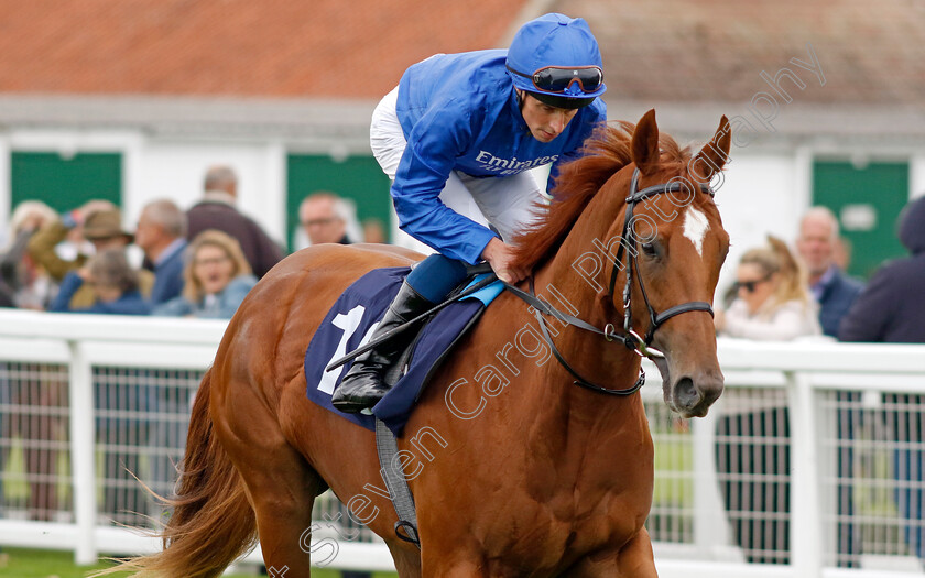 Romantic-Style-0006 
 ROMANTIC STYLE (William Buick) winner of The British EBF Fillies Novice Stakes
Yarmouth 19 Sep 2023 - Pic Steven Cargill / Racingfotos.com