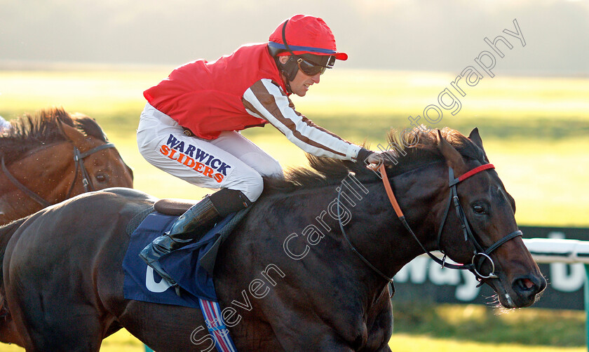 Honky-Tonk-Man-0006 
 HONKY TONK MAN (Trevor Whelan) wins The Watch Racing Free Online At Coral EBF Novice Stakes
Lingfield 28 Oct 2021 - Pic Steven Cargill / Racingfotos.com