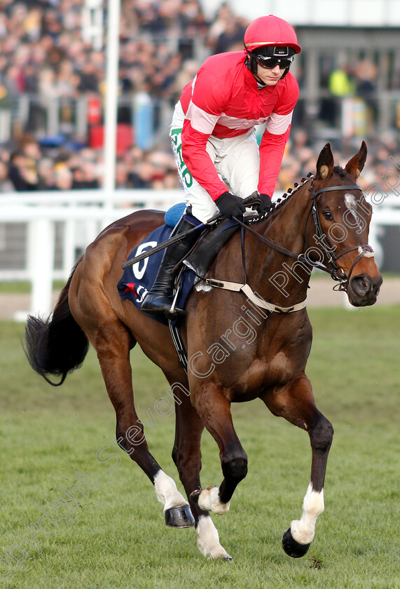 Real-Steel-0001 
 REAL STEEL (Paul Townend)
Cheltenham 14 Mar 2019 - Pic Steven Cargill / Racingfotos.com