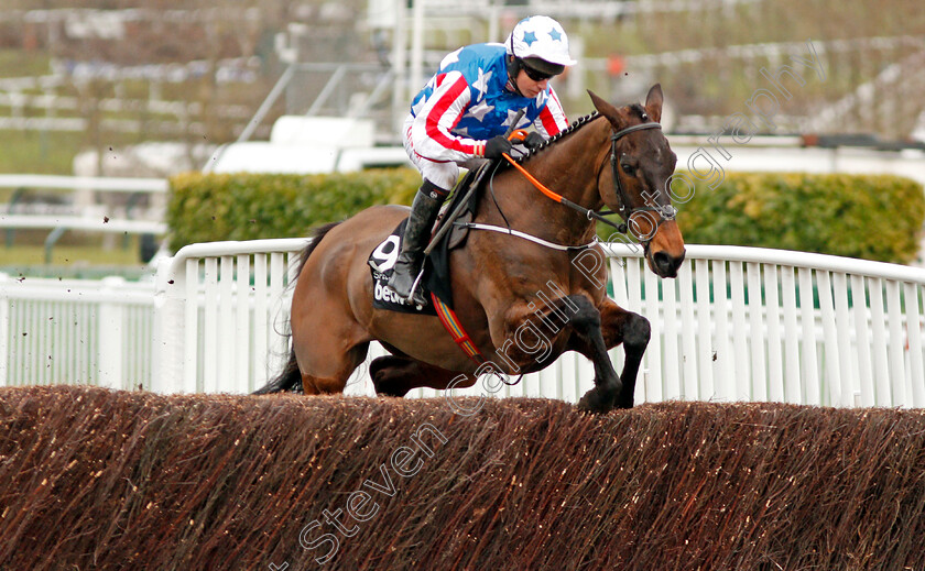 Special-Tiara-0001 
 SPECIAL TIARA (Noel Fehily) Cheltenham 14 Mar 2018 - Pic Steven Cargill / Racingfotos.com