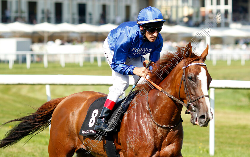 Panarea-0001 
 PANAREA (Andrasch Starke)
Baden Baden 31 Aug 2024 - Pic Steven Cargill / Racingfotos.com