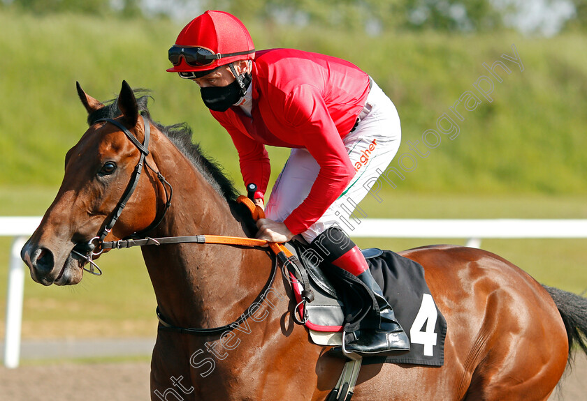 Roccozaam-0001 
 ROCCOZAAM (Shane Kelly)
Chelmsford 3 Jun 2021 - Pic Steven Cargill / Racingfotos.com