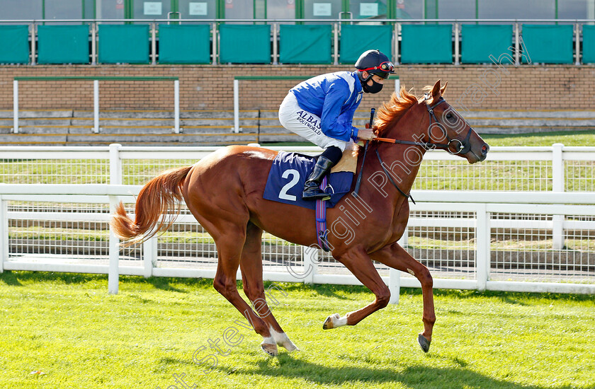 Almaan-0001 
 ALMAAN (Dane O'Neill)
Yarmouth 25 Aug 2020 - Pic Steven Cargill / Racingfotos.com