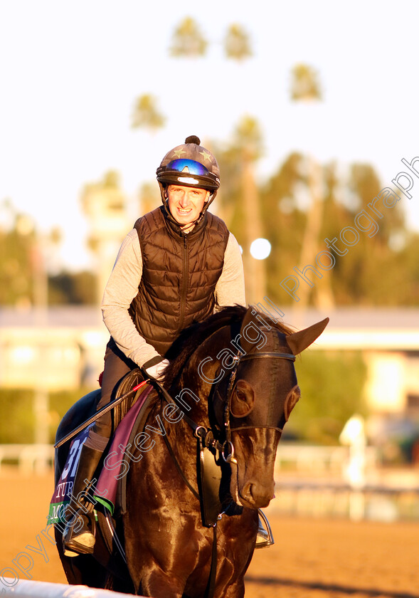 Mostahdaf-0004 
 MOSTAHDAF training for The Breeders' Cup Turf
Santa Anita USA, 31 October 2023 - Pic Steven Cargill / Racingfotos.com