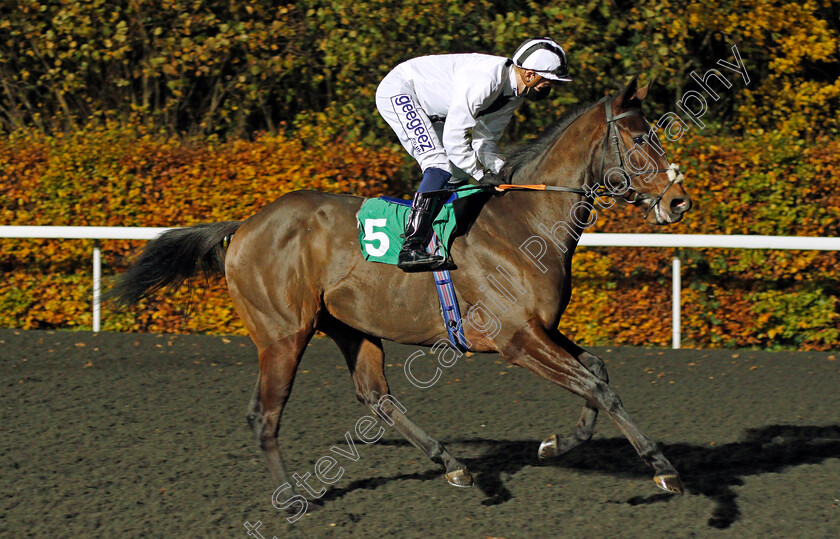 Thaki-0001 
 THAKI (David Probert)
Kempton 11 Nov 2020 - Pic Steven Cargill / Racingfotos.com