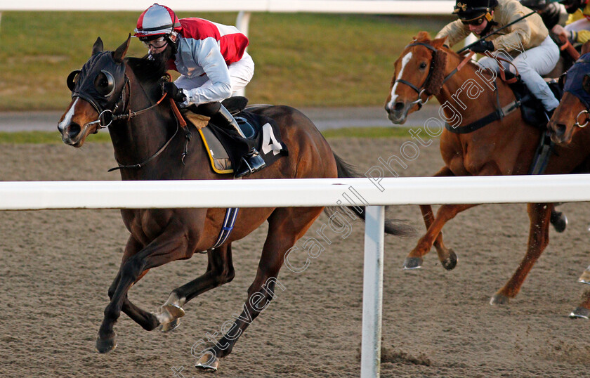 Swooper-0002 
 SWOOPER (Jonny Peate) wins The Terry Chambers Memorial Handicap
Chelmsford 18 Feb 2021 - Pic Steven Cargill / Racingfotos.com