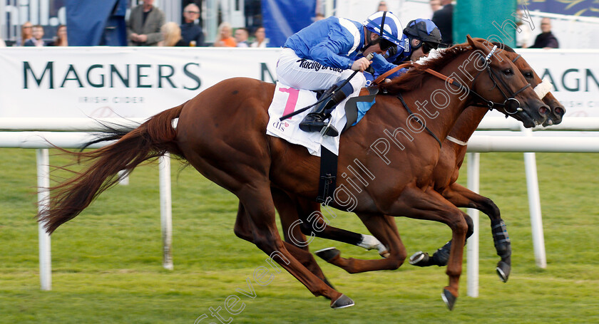 Mutamaasik-0003 
 MUTAMAASIK (Jim Crowley) beats THE GREAT HEIR (farside) in The DFS Handicap
Doncaster 12 Sep 2019 - Pic Steven Cargill / Racingfotos.com