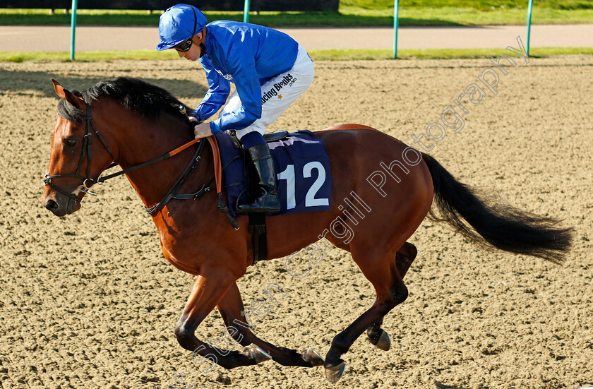 Wajaaha-0001 
 WAJAAHA (Jim Crowley) Lingfield 5 Oct 2017 - Pic Steven Cargill / Racingfotos.com