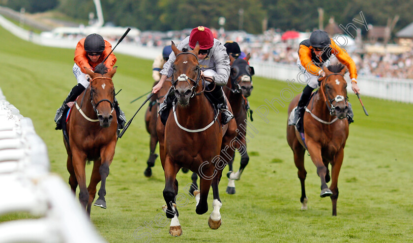 Toro-Strike-0004 
 TORO STRIKE (Ryan Moore) wins The Weatherbys Hamilton Supreme Stakes
Goodwood 29 Aug 2021 - Pic Steven Cargill / Racingfotos.com