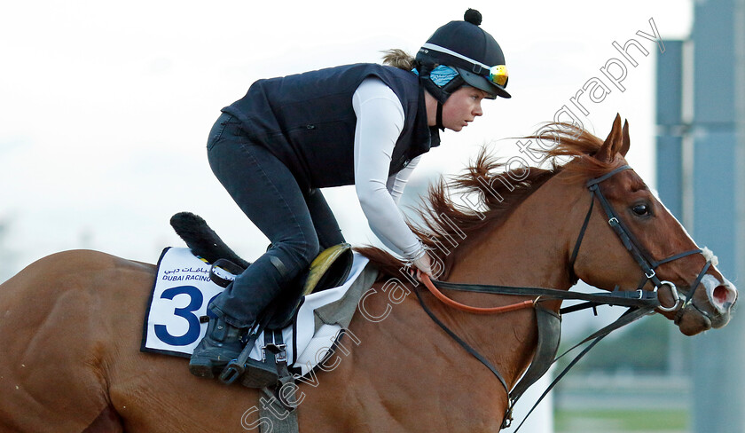 Itsatenfromlen-0002 
 ITSATENFROMLEN training at the Dubai Racing Carnival 
Meydan 2 Jan 2025 - Pic Steven Cargill / Racingfotos.com