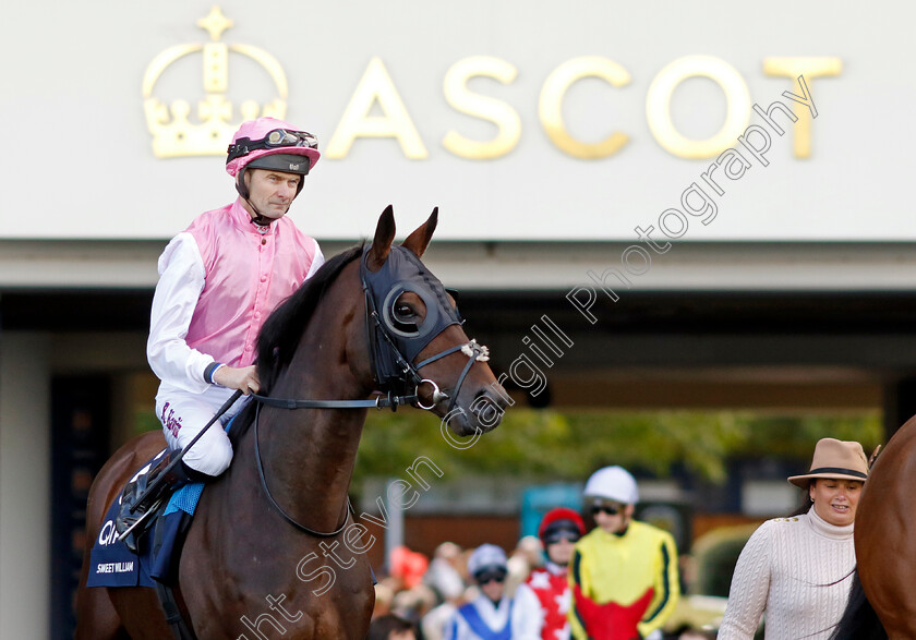 Sweet-William-0001 
 SWEET WILLIAM (Robert Havlin)
Ascot 19 Oct 2024 - Pic Steven Cargill / Racingfotos.com