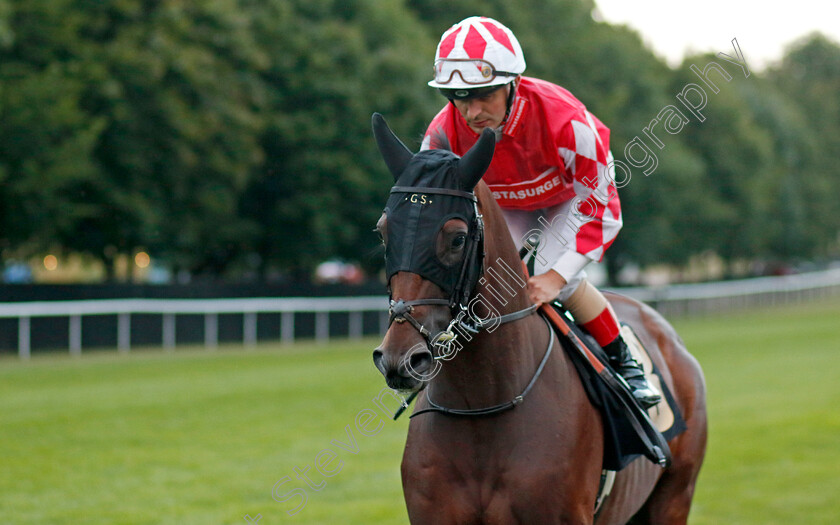 Mellys-Flyer 
 MELLYS FLYER (Andrea Atzeni)
Newmarket 29 Jul 2022 - Pic Steven Cargill / Racingfotos.com