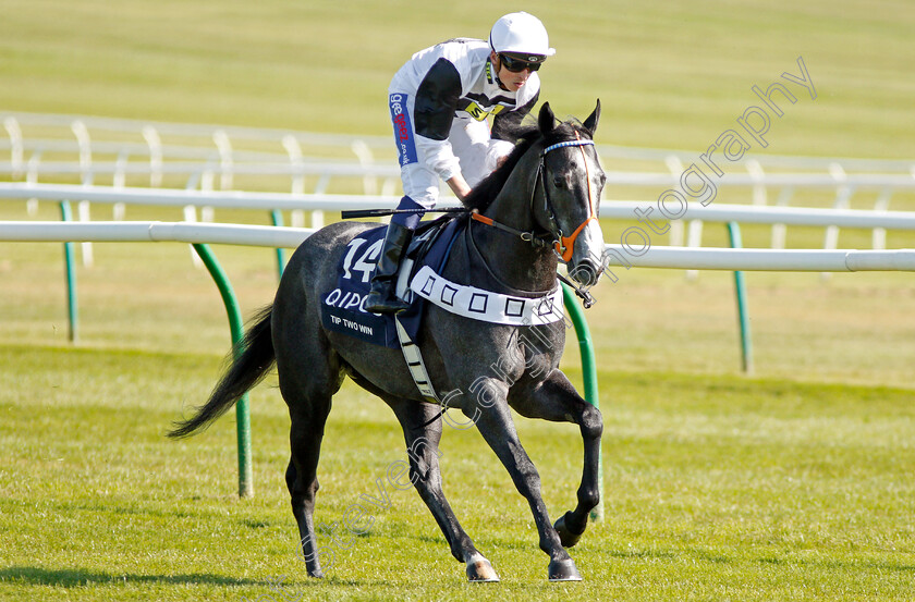 Tip-Two-Win-0002 
 TIP TWO WIN (David Probert) Newmarket 5 May 2018 - Pic Steven Cargill / Racingfotos.com