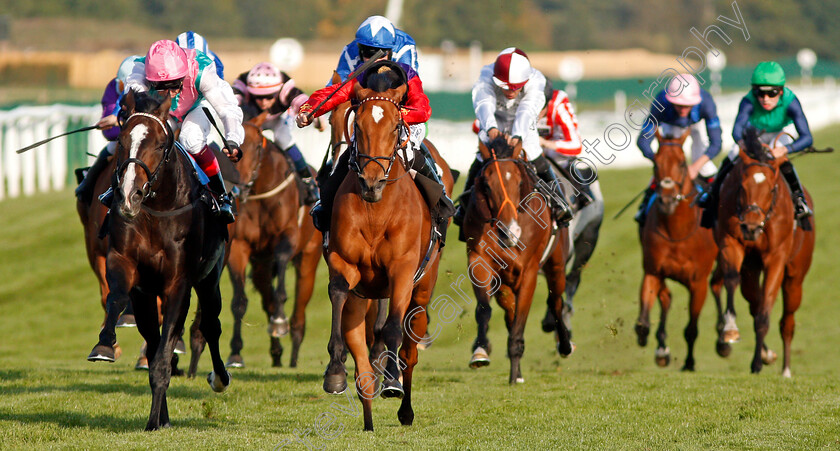 Daphne-0003 
 DAPHNE (centre, Ryan Moore) beats WEEKENDER (left) in The Dubai Duty Free Finest Surprise Handicap Newbury 23 Sep 2017 - Pic Steven Cargill / Racingfotos.com