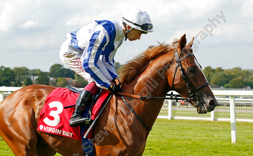 Devil s-Point-0001 
 DEVIL'S POINT (Oisin Murphy)
Sandown 2 Sep 2023 - Pic Steven Cargill / Racingfotos.com