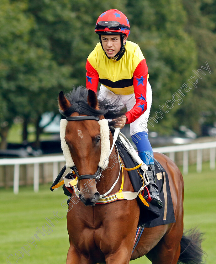 Magnificentforce-0001 
 MAGNIFICENTFORCE (Tommie Jakes)
Newmarket 28 Jul 2023 - Pic Steven Cargill / Racingfotos.com