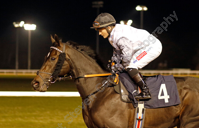 Con-Te-Partiro-0002 
 CON TE PARTIRO (Hollie Doyle) winner of The Betmgm Handicap
Wolverhampton 9 Mar 2024 - Pic Steven Cargill / Racingfotos.com