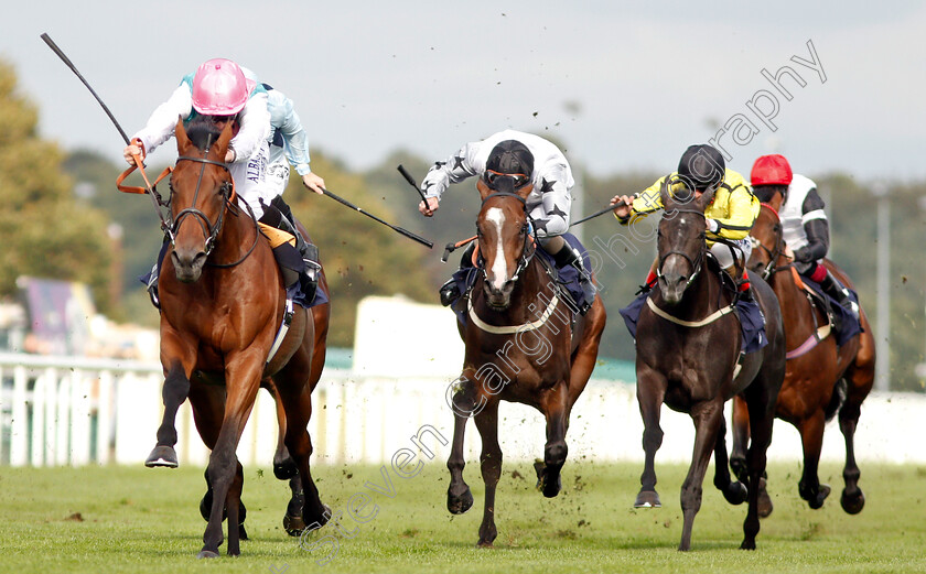 Sangarius-0005 
 SANGARIUS (Ryan Moore) wins The Weatherbys Global Stallions App Flying Scotsman Stakes
Doncaster 14 Sep 2018 - Pic Steven Cargill / Racingfotos.com