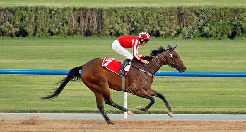 Salute-The-Soldier-0009 
 SALUTE THE SOLDIER (Adrie De Vries) wins The Burj Nahaar
Meydan 7 Mar 2020 - Pic Steven Cargill / Racingfotos.com