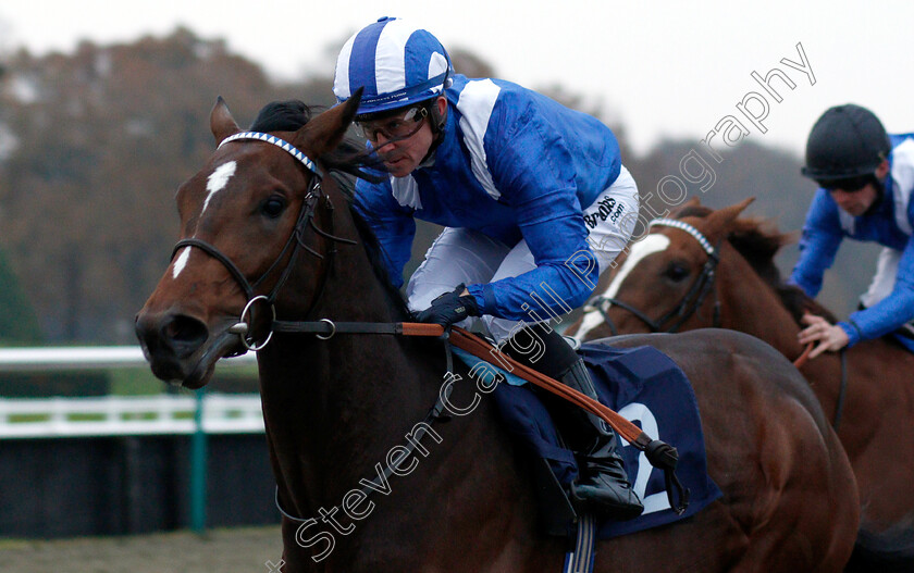 Dawaam-0009 
 DAWAAM (Jim Crowley) wins The Ladbrokes Bet £5 Get £20 EBF Novice Stakes
Lingfield 20 Nov 2018 - Pic Steven Cargill / Racingfotos.com