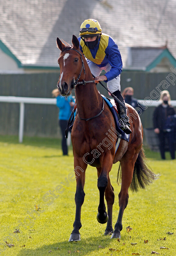 Diamond-And-Gold-0001 
 DIAMOND AND GOLD (Ryan Moore)
Yarmouth 20 Oct 2020 - Pic Steven Cargill / Racingfotos.com