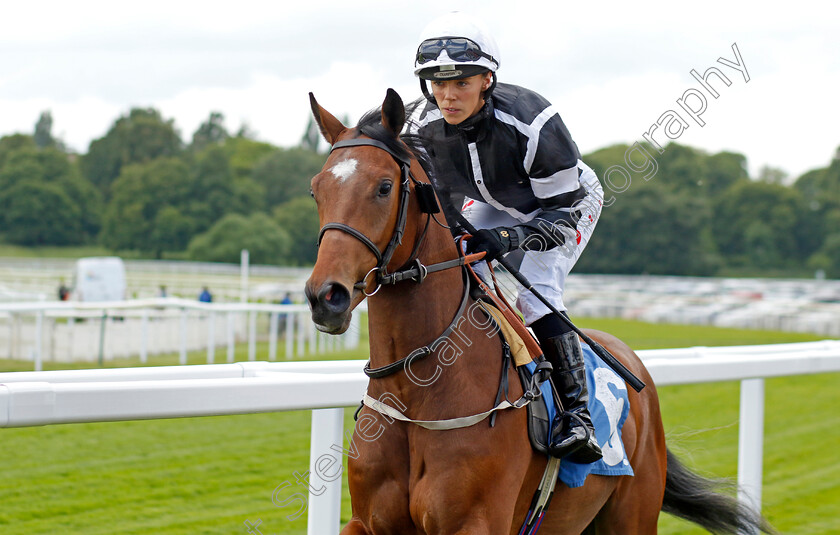 Heart-Of-Acklam 
 HEART OF ACKLAM (Faye McManoman)
York 11 Jun 2022 - Pic Steven Cargill / Racingfotos.com