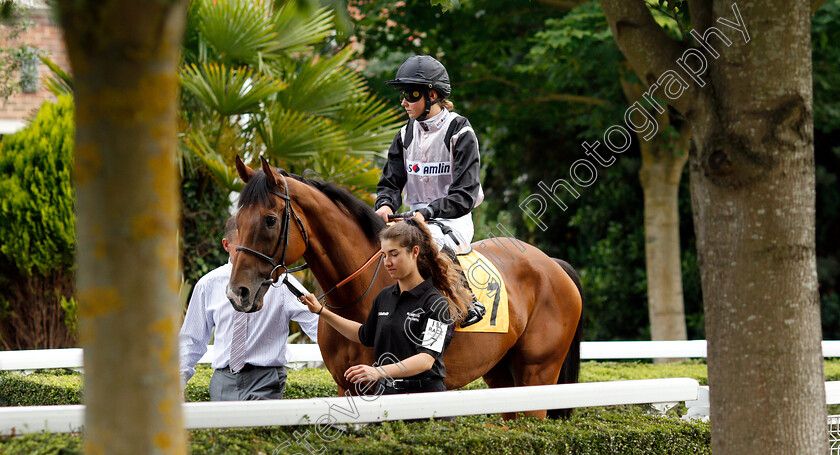 Briyouni-0003 
 BRIYOUNI (Charlotte Bennett)
Kempton 10 Jul 2019 - Pic Steven Cargill / Racingfotos.com